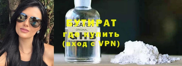 сатива Коряжма