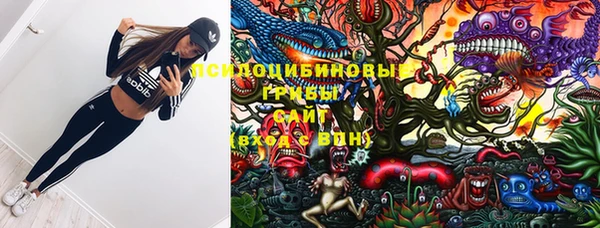 стафф Алексеевка
